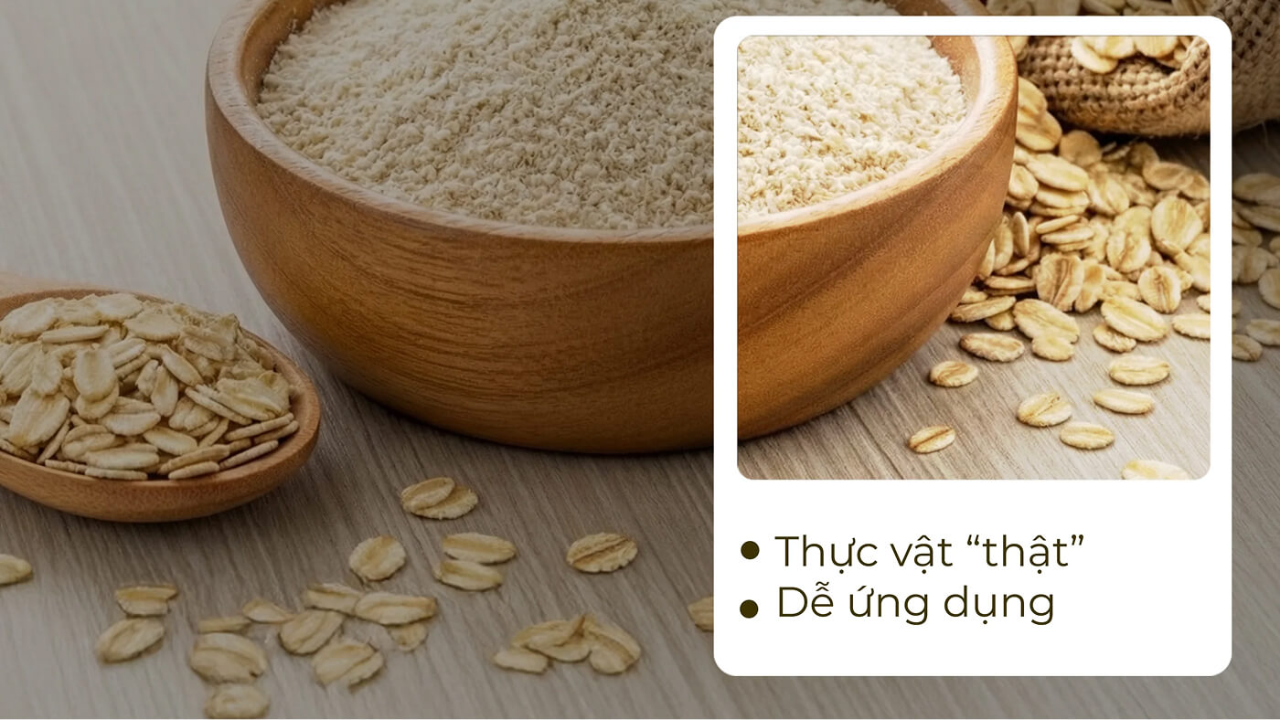 Plant-based Realism – Thực vật “thật”, dễ ứng dụng