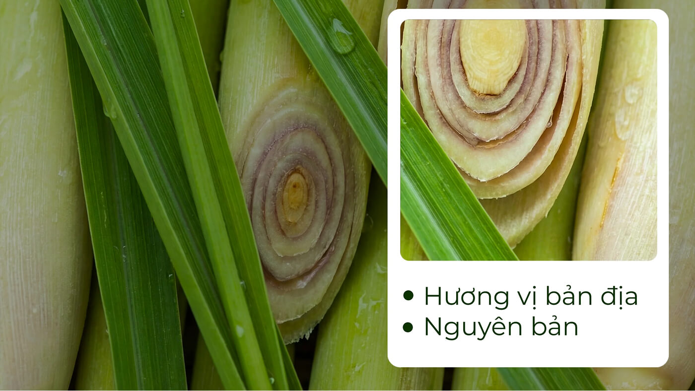 Plant-based Realism – Thực vật “thật”, dễ ứng dụng
