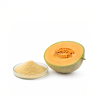 Bột cốt dưa lưới