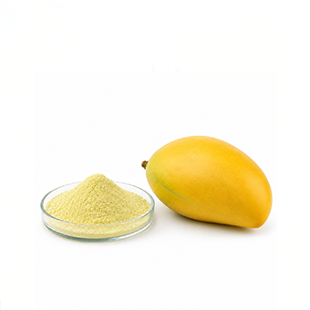 Bột cốt xoài